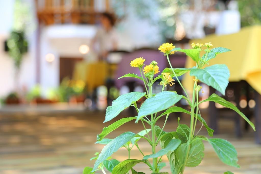 Akyaka Yali Capkini Hotel Exterior foto